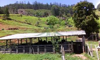 Imagem 3: Belissíma Fazenda a Venda em Piracaia 48 Alqueires