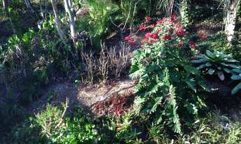 Imagem 3: Casa para venda com 400 metros quadrados com 4 suítes no UBÁ FLORESTA - Niterói