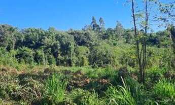 Imagem 4: Ótima área 5.2ha, boa para investimento