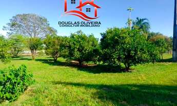 Imagem 4: Fazenda 84 Alqueires Região De Presidente Venceslau -SP