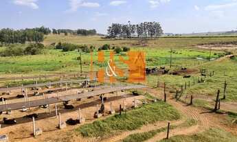 Imagem 7: FAZENDA RURAL em EMILIANÓPOLIS - SP, REGIÃO DE PRESIDENTE PRUDENTE