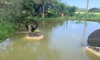 Imagem 3: FAZENDA COMPLETA