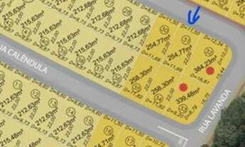 Imagem 3: Jardins Versalhes lote 254,77mt