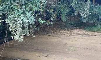 Imagem 6: Casa de condomínio a venda tem 160 m² com 3 quartos uma suíte, alto padrão, condomínio clu