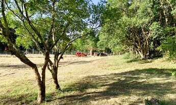 Imagem 4: 51) 9. * - Chacrinha Plana e Arborizada