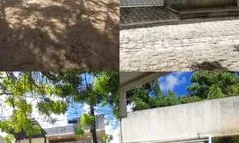 Imagem 3: Vendo ou troco em carro duas casas