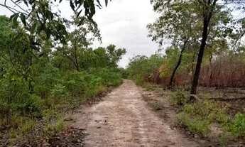 Imagem 5: FAZENDA À VENDA EM BALSAS - MA - 470 HECTARES - (DUPLA APTIDÃO