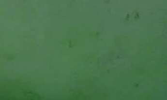 Imagem 3: Casa no amazonex