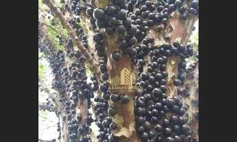 Imagem 6: Casa com 7 dormitórios à venda, 540 m² por R$ 1.900.000,00 - Freitas - São José dos Campos