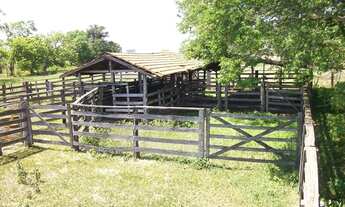 Imagem 5: Fazenda em Almas. 28 mil por alqueire
