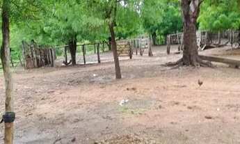 Imagem 2: FAZENDA À VENDA EM BALSAS - MA - 470 HECTARES - (DUPLA APTIDÃO