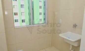 Imagem 7: Apartamento Padrão em Pelotas