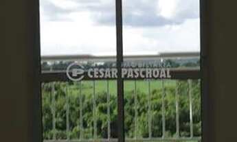 Imagem 2: Apartamento Padrão Jardim Palmares Disponível Para Venda E Locação Jardim Palmares 2 Dorm