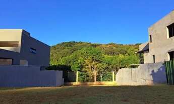 Imagem 4: Terreno à venda, 489 m² por R$ 650.000,00 - Alphaville 3 - Ribeirão Preto/SP