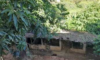 Imagem 4: Vendo ou troco pequena chácara em Cariacica preferência casa em Central Carapina