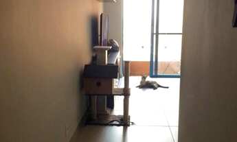 Imagem 7: Apartamento para venda com 64 metros quadrados com 3 quartos