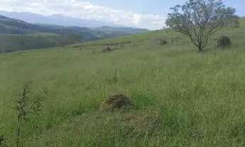 Imagem 2: Lote/Terreno para venda tem 600 metros quadrados em Parque Alpina - Igaratá - SP