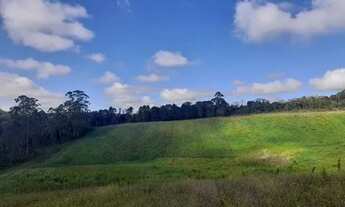 Imagem 4: Lote/Terreno para venda com 500 metros quadrados em Granja Viana - Cotia - SP