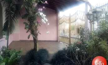 Imagem 2: São Paulo - Casa Padrão - Tatuapé