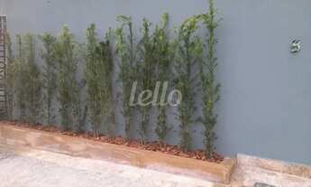 Imagem 2: São Paulo - Apartamento Padrão - Vila Guilherme