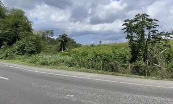 Imagem 5: Amélia Rodrigues - Fazenda com 2 nascente de água, boa para pasto 675.000 m² na Br 324