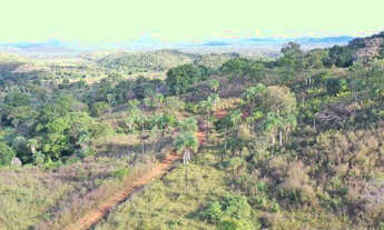 Imagem 7: Fazenda em Campinaçu