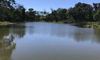 Imagem 5: Oportunidade raríssima no parana