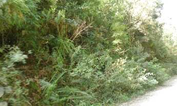 Imagem 4: Area Para Formar Chacara ,Sitio,em Piraquara (Roça Nova,Papanduva