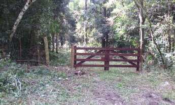 Imagem 6: Area Para Formar Chacara ,Sitio,em Piraquara (Roça Nova,Papanduva