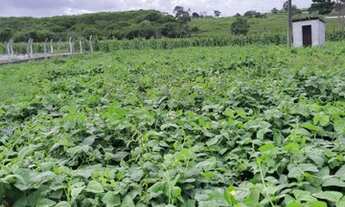 Imagem 5: Fazenda com 150 hectares na região de Macaíba com boa estrutura