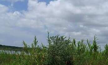 Imagem 2: Fazenda com 110 hectares nas Marias próximo a cajazeiras