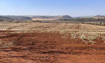 Imagem 7: FAZENDA ENTRE SÃO CARLOS E ARARAQUARA 74,23 ALQ