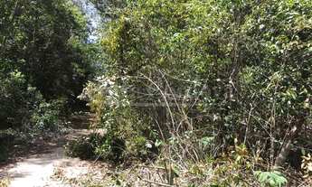 Imagem 4: Lote/Terreno para venda possui 50000 metros quadrados em Arraial D'Ajuda - Porto Segu