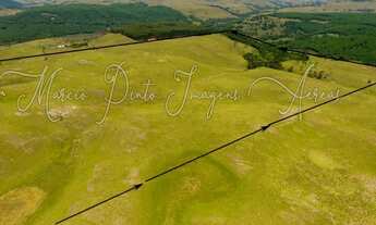 Imagem 3: Linda Área de Terras em Bom Jesus
