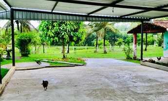 Imagem 6: Itajuípe - Fazenda - FAZENDA AMARALINA