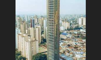 Imagem 5: Figueira tatuapé