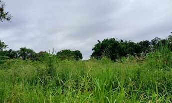 Imagem 5: Sítio 2 alqueires Plano Terra boa pra Banana ( Willian Ricardo