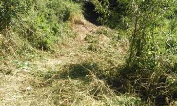 Imagem 3: Chácara com mina em São Francisco Xavier SP