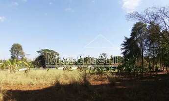 Imagem 5: Chácara Padrão em Ribeirão Preto