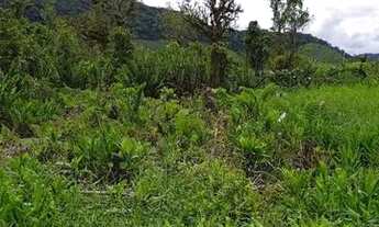 Imagem 3: VENDO TERRENO EM MONGAGUÁ