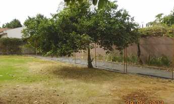 Imagem 7: Casa Padrão em Sertãozinho