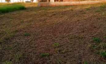 Imagem 7: Terreno - Residencial das Palmeiras - plano 252,00m2 - jaguapitã