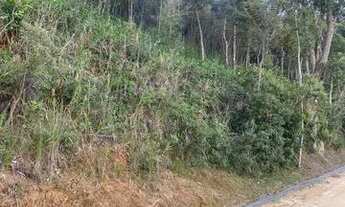 Imagem 5: Terreno com vista espetacular, ótima topografia, aceita negociação!