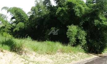 Imagem 6: Terreno - Joaquim Egídio - Campinas