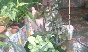 Imagem: Casa de vila, sol da manhã, com varanda