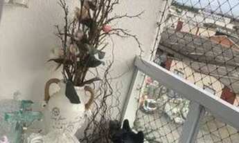 Imagem: Spazio alamedas dos ipês