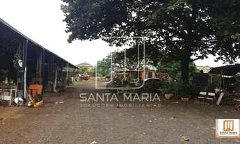 Imagem 3: Salão/Galpão (salão - térreo