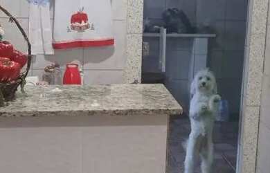 Imagem 4: Casa para venda em Liberdade - Salvador - BA