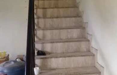 Imagem 5: Aluga se em Mage