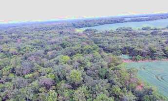 Imagem 4: Fazenda em Divinopolis-TO. Bruta